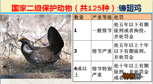 国家二级野生保护动物 最新125类保护名录