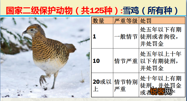国家二级野生保护动物 最新125类保护名录