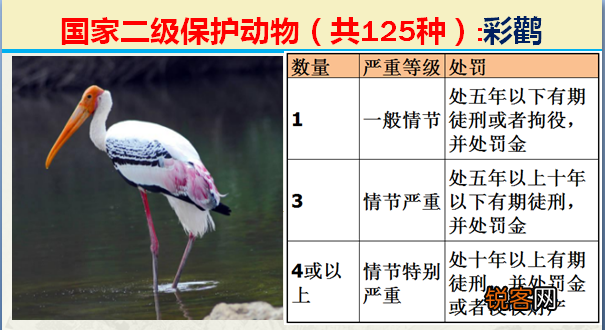 国家二级野生保护动物 最新125类保护名录