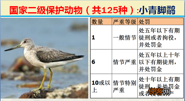 国家二级野生保护动物 最新125类保护名录