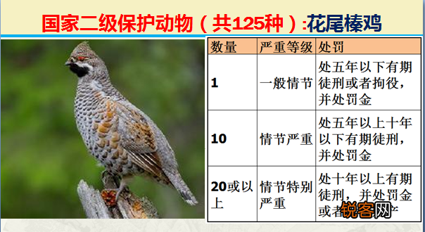 国家二级野生保护动物 最新125类保护名录