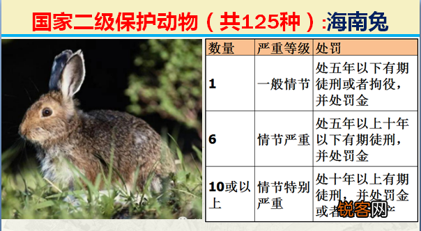 国家二级野生保护动物 最新125类保护名录