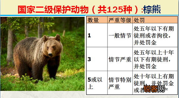 国家二级野生保护动物 最新125类保护名录