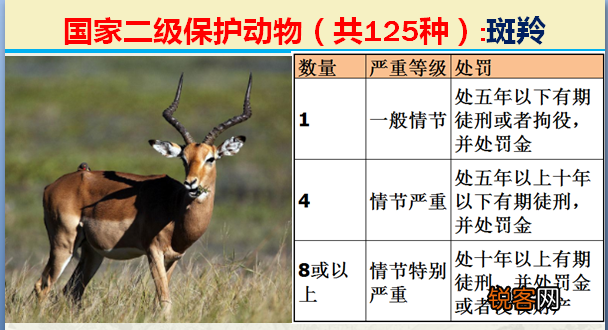 国家二级野生保护动物 最新125类保护名录