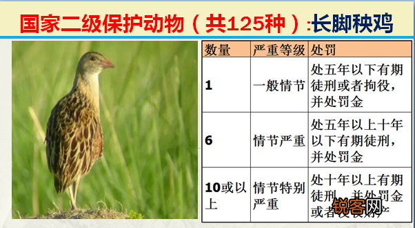 国家二级野生保护动物 最新125类保护名录