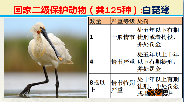 国家二级野生保护动物 最新125类保护名录