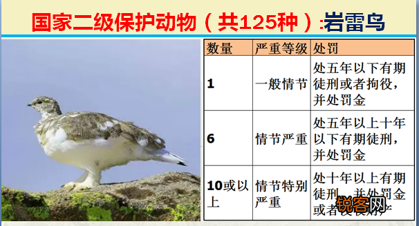 国家二级野生保护动物 最新125类保护名录
