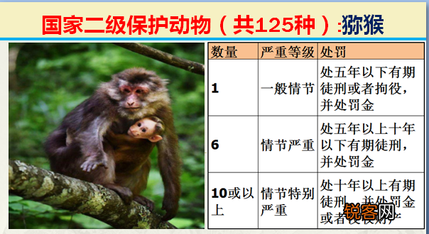 国家二级野生保护动物 最新125类保护名录