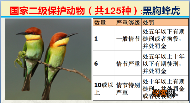 国家二级野生保护动物 最新125类保护名录