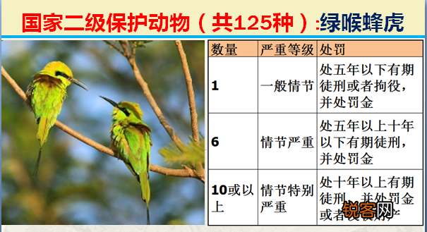 国家二级野生保护动物 最新125类保护名录