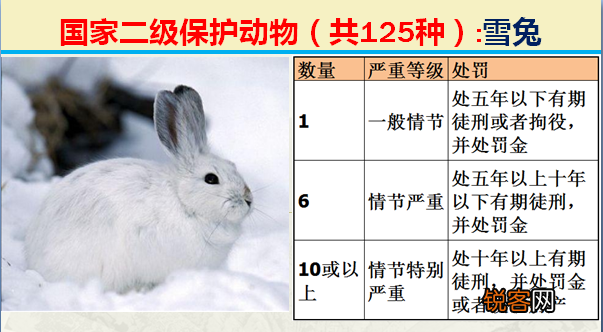 国家二级野生保护动物 最新125类保护名录