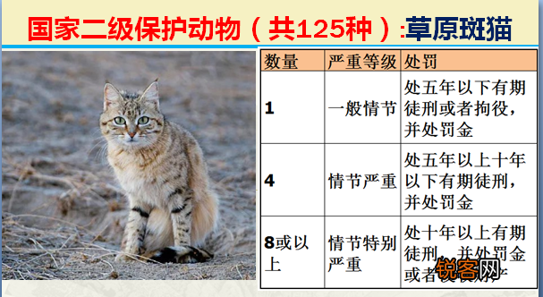 国家二级野生保护动物 最新125类保护名录