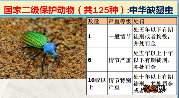 国家二级野生保护动物 最新125类保护名录
