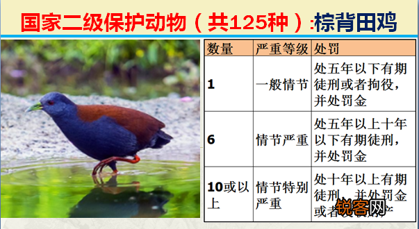 国家二级野生保护动物 最新125类保护名录