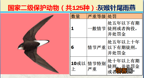 国家二级野生保护动物 最新125类保护名录