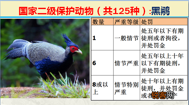 国家二级野生保护动物 最新125类保护名录