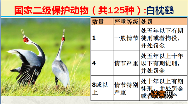 国家二级野生保护动物 最新125类保护名录
