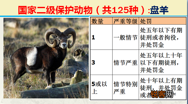 国家二级野生保护动物 最新125类保护名录