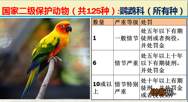 国家二级野生保护动物 最新125类保护名录