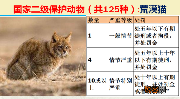 国家二级野生保护动物 最新125类保护名录