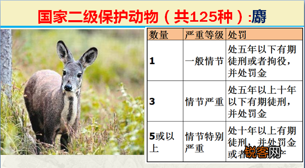 国家二级野生保护动物 最新125类保护名录