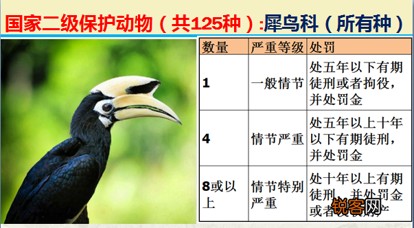 国家二级野生保护动物 最新125类保护名录