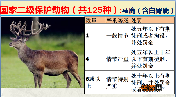 国家二级野生保护动物 最新125类保护名录