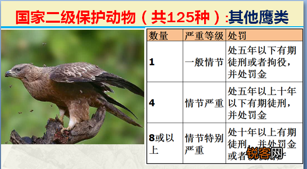 国家二级野生保护动物 最新125类保护名录