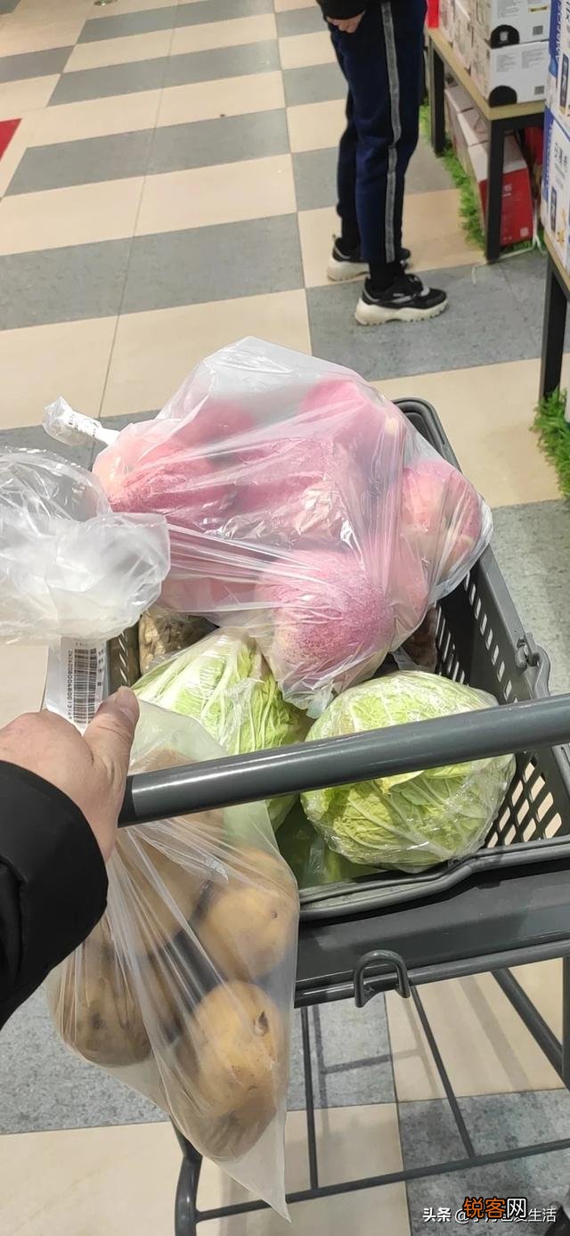 想开个水果蔬菜店,去哪里找货源？