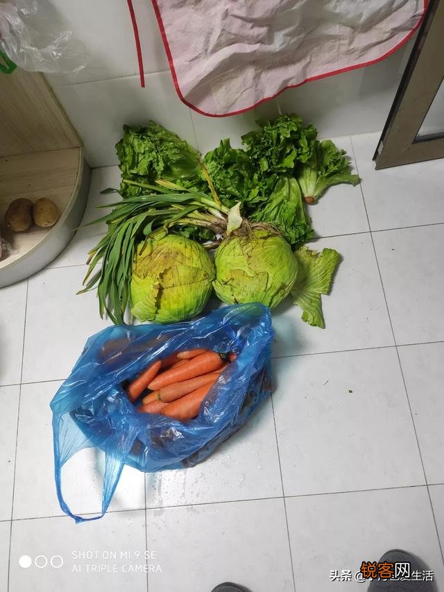 想开个水果蔬菜店,去哪里找货源？
