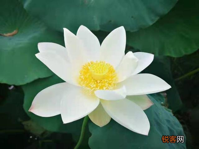 我今天举报了在职教师有偿补课,他会受到怎样的处罚？会被开除吗？