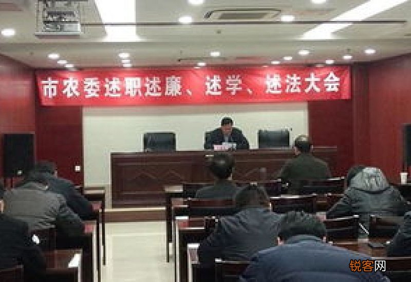 村主任述廉述职报告