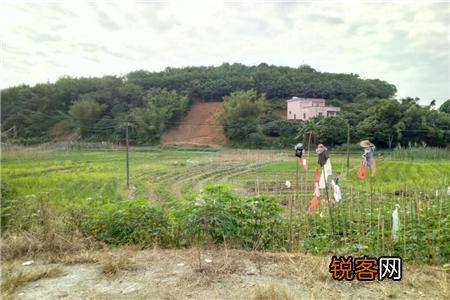 农村建房子有什么讲究 农村房屋三要指什么