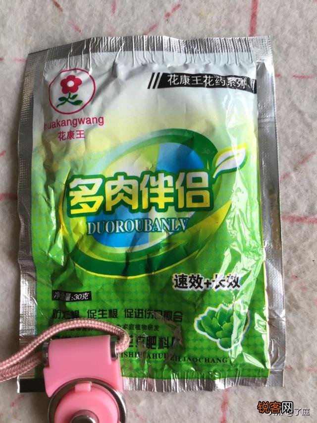 可以介绍几种好看又好养的多肉法师吗？