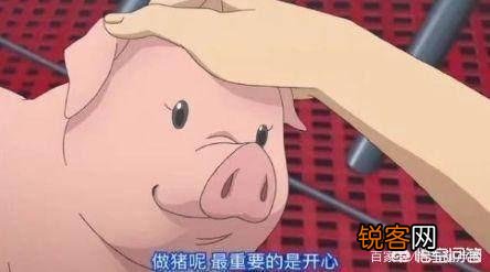 十万左右的车,哪款省油、耐用、大气和有面呢？