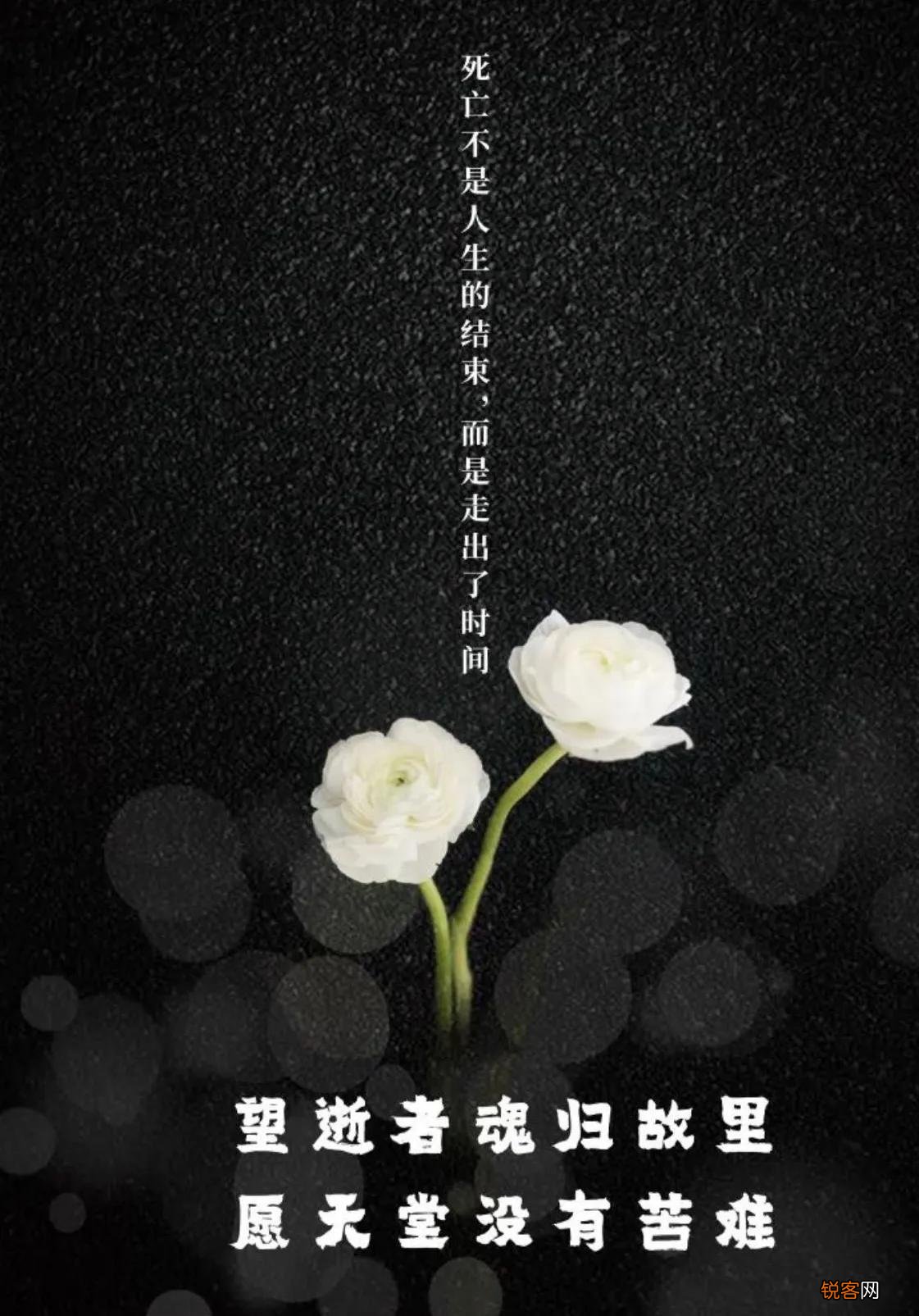 黑蝴蝶代表什么 东航坠机现场为什么会有黑蝴蝶