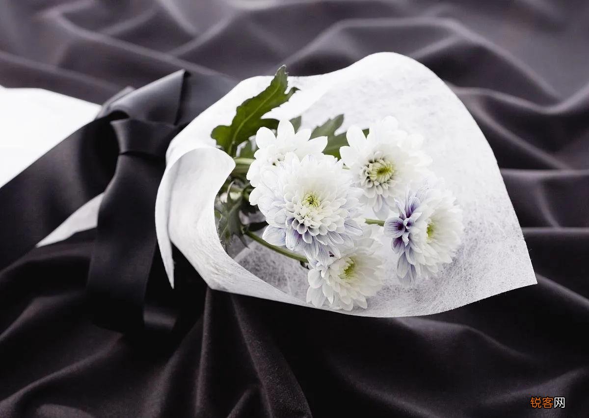 黑蝴蝶代表什么 东航坠机现场为什么会有黑蝴蝶