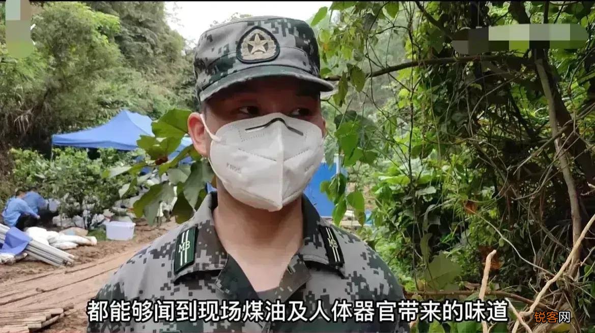 黑蝴蝶代表什么 东航坠机现场为什么会有黑蝴蝶