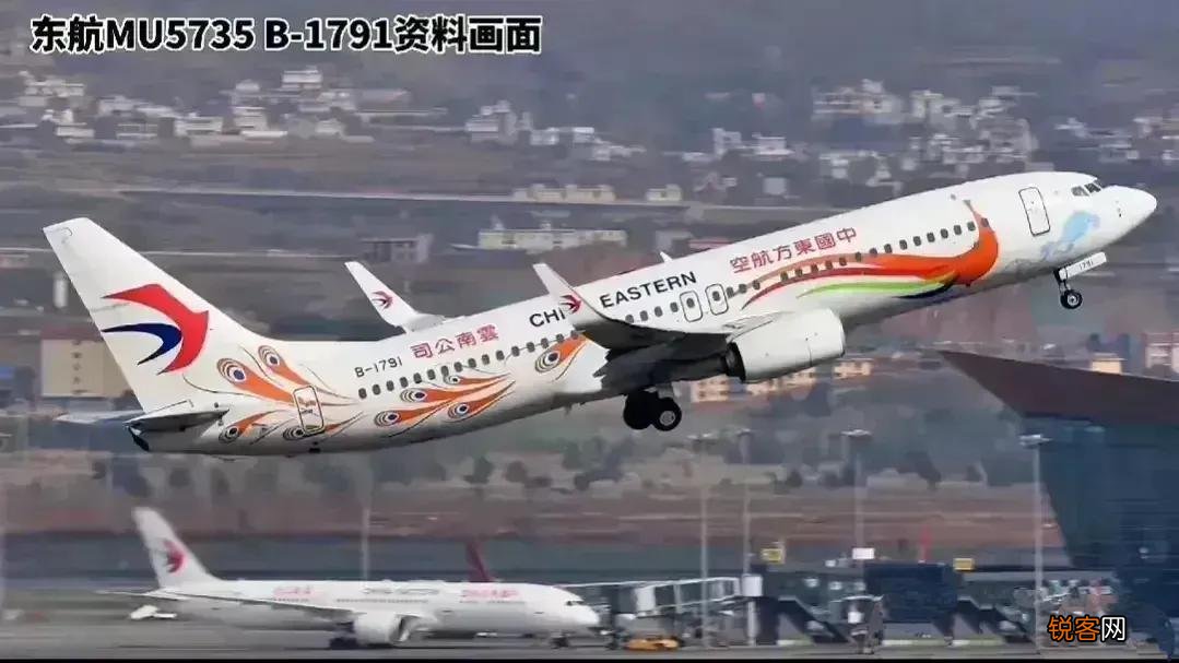 黑蝴蝶代表什么 东航坠机现场为什么会有黑蝴蝶