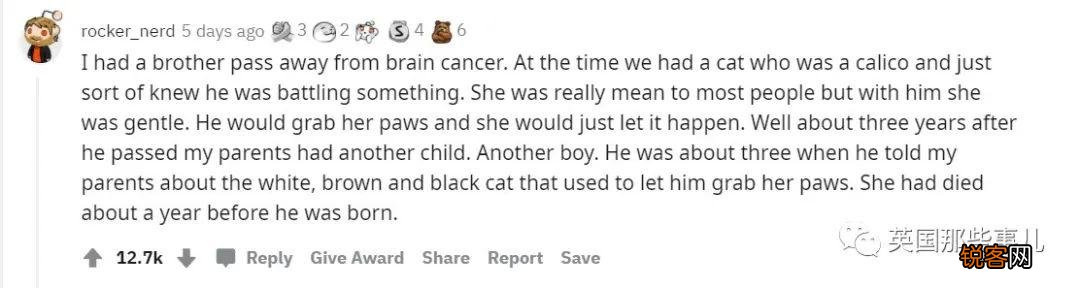 人真的有“转世”吗？ 你的娃有没有说过古怪的前世记忆