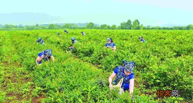 你了解伊春市乌马区这座边陲小镇吗