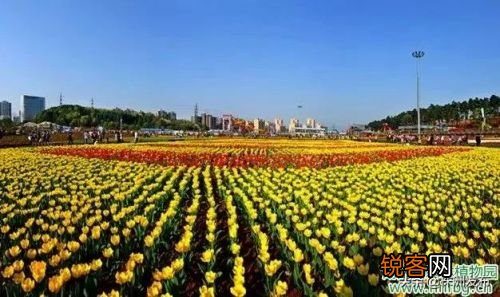 长沙植物园门票多少钱一张_长沙植物园景点介绍