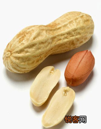 怎样轻松补够膳食纤维