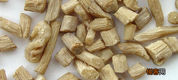 川牛膝种植技术与栽培管理