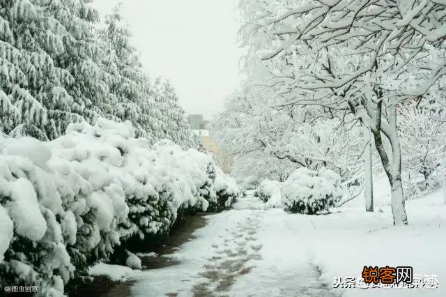 和雪有关的成语有多少？