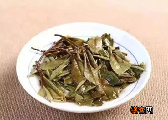 老树白茶属于什么茶 老树白茶有几种冲泡方式和功效作用
