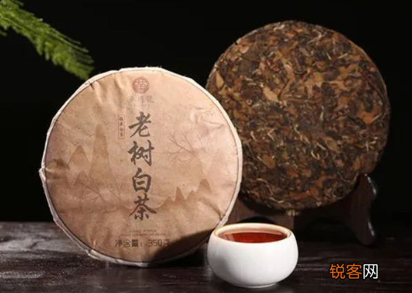 老树白茶简介 老树白茶是什么 有什么功效和作用