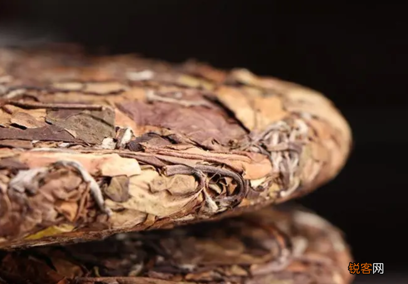 老树白茶简介 老树白茶是什么 有什么功效和作用