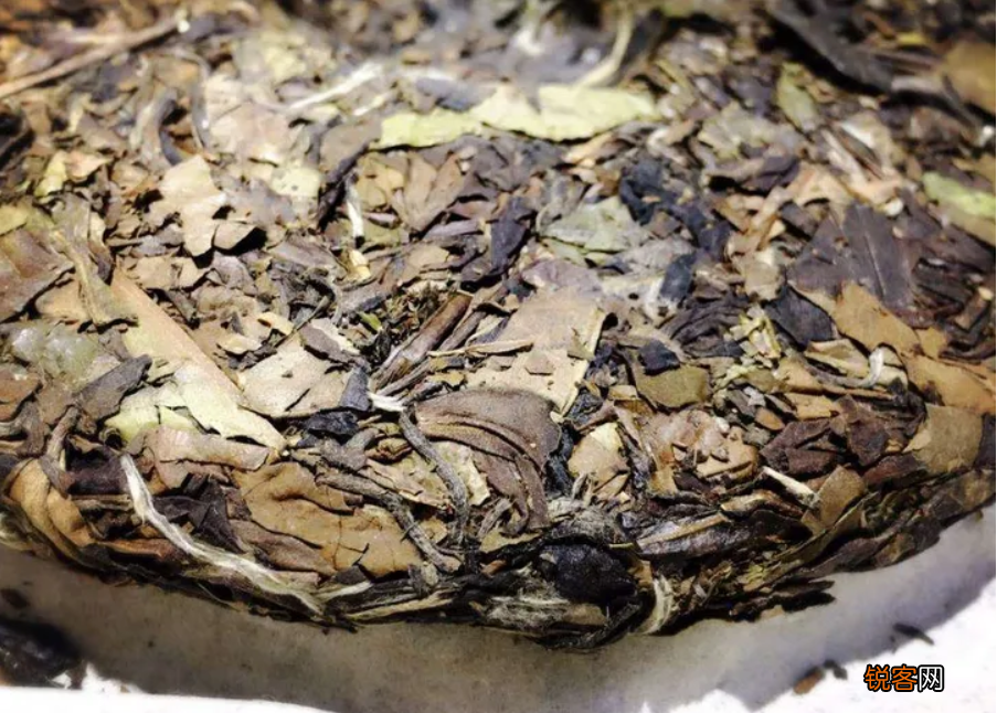 老白茶哪个品种好 老白茶的品种和功效与作用介绍