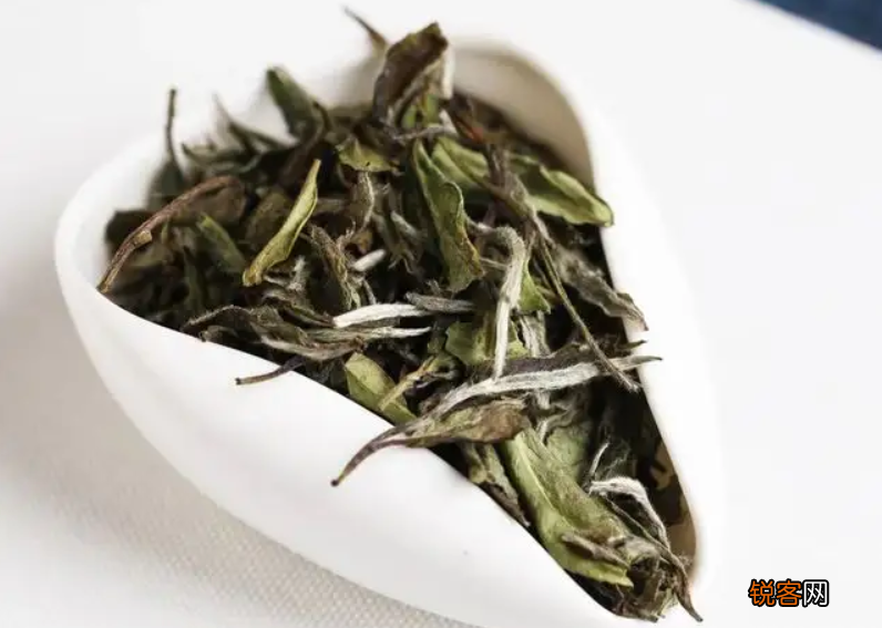 老白茶哪里的料最好 哪里产的老白茶品质最佳
